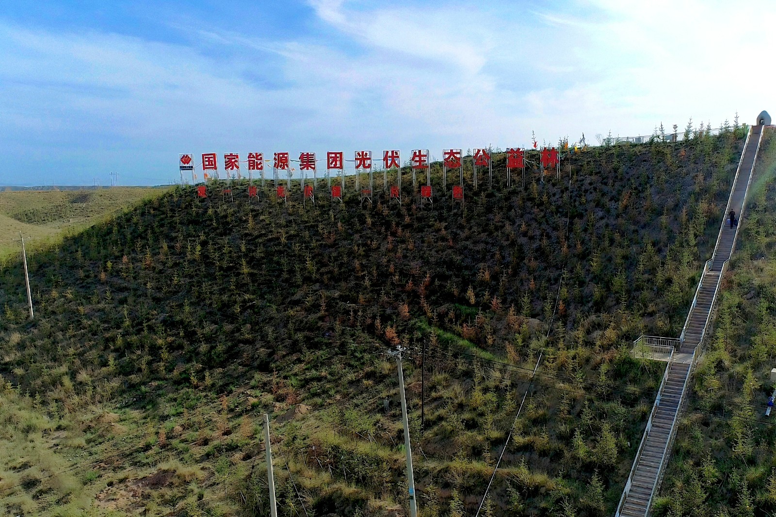 圖為公益林航拍圖