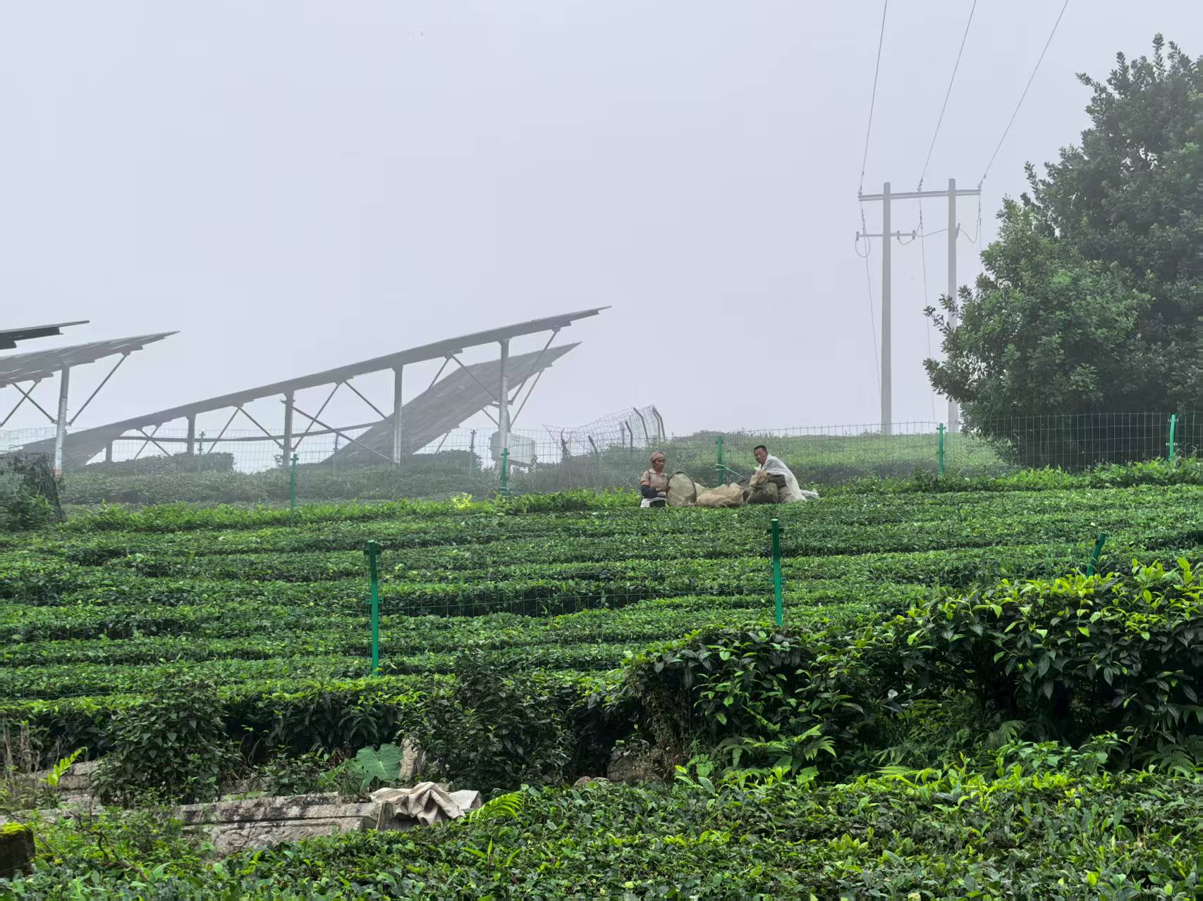 1765269330338091199.jpg f13c67372f2f16db44272bfce25f46d2.jpg